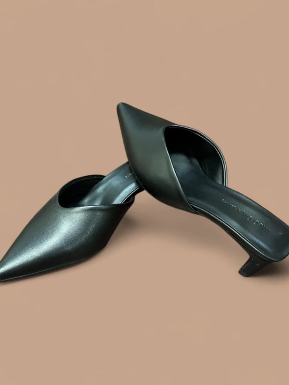 Pointed-toe Mule Heels-black